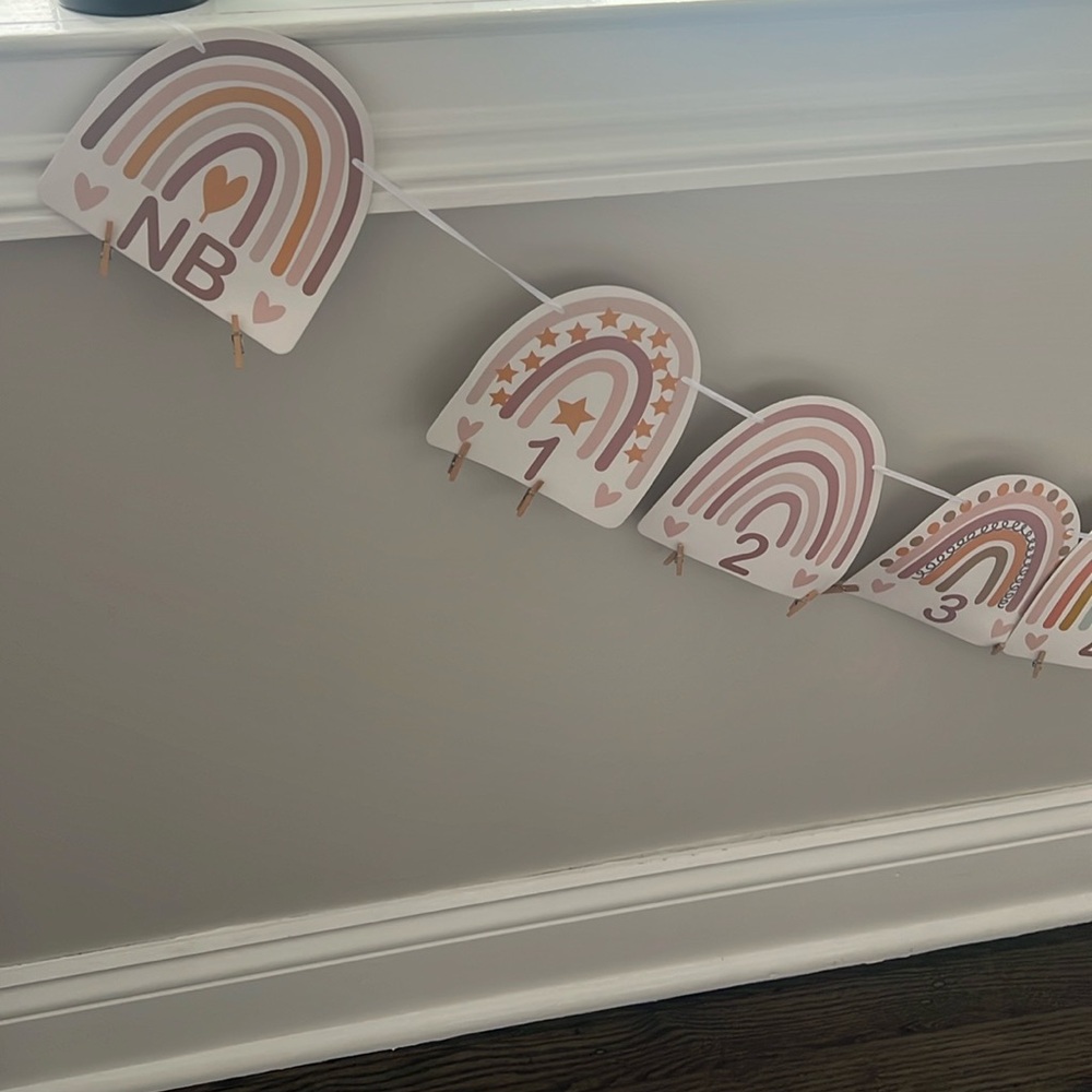 1st birthday monthly picture sign